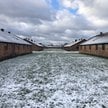 Najstarsza część KL Birkenau: baraki murowane byłego obozu kobiecego