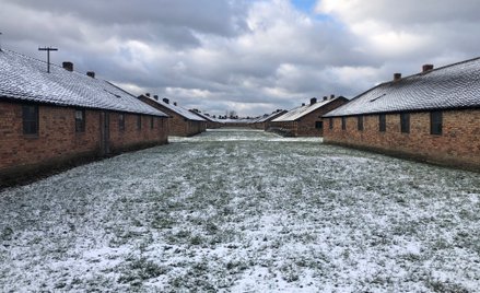Najstarsza część KL Birkenau: baraki murowane byłego obozu kobiecego