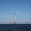 Polenergia zdradza harmonogram prac za morskimi wiatrakami na Bałtyku