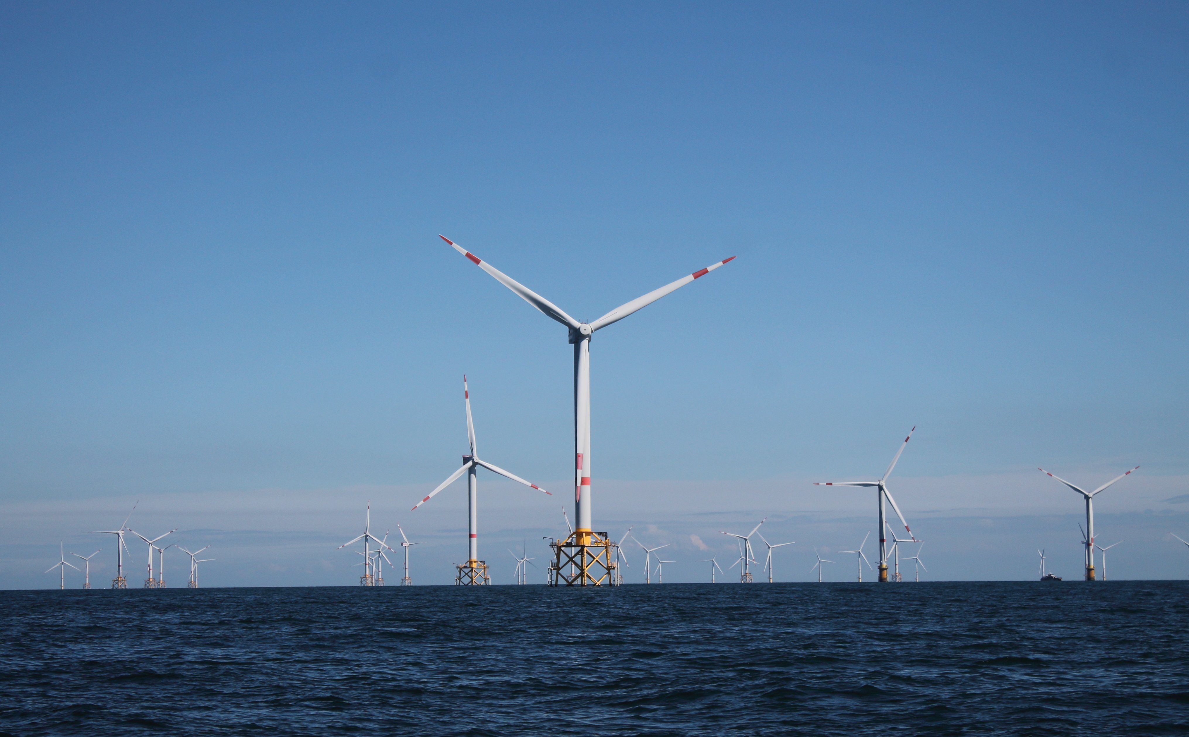 Polenergia zdradza harmonogram prac za morskimi wiatrakami na Bałtyku