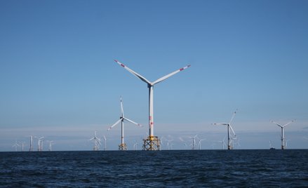 Polenergia zdradza harmonogram prac za morskimi wiatrakami na Bałtyku