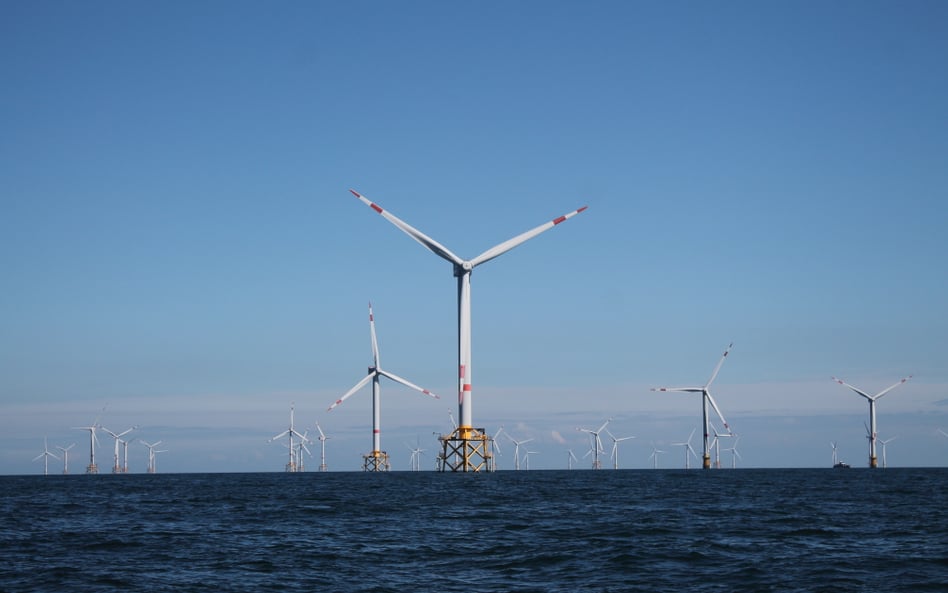Polenergia zdradza harmonogram prac za morskimi wiatrakami na Bałtyku