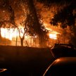Potężne pożary w Grecji. Ogień na przedmieściach Aten