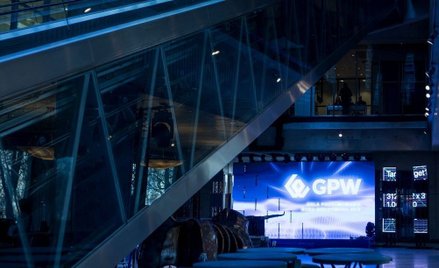 Pointpack: Przejście na główny parkiet w tym roku?