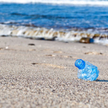 Martwy wieloryb na brzegu. W żołądku 6 kg plastiku