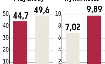 Aplisens: Rekordowy zysk, ale bez dywidendy