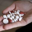 Pacjenci nie mogą być pewni wygranej