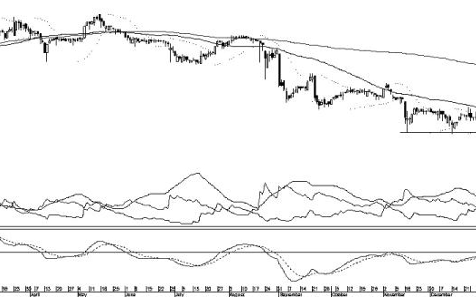 ...i niedźwiedzie, czyli trzy spółki, którym grozi pogłębienie przeceny