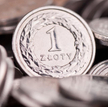 Złoty bez szans na odmianę losu