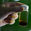 Finlandia najbardziej efektywnie wykorzystuje biomasę do produkcji prądu