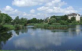 Więcej szczegółów Staw Koziorożca, widok od strony ulicy Obrońców Pokoju