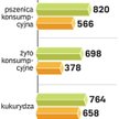 Zboże