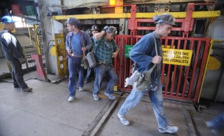 Zysk netto Bogdanki spadł mocniej od oczekiwań