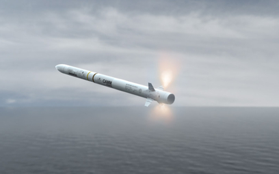 Europejskie pociski CAMM coraz bliżej rakietowej „Narwi”