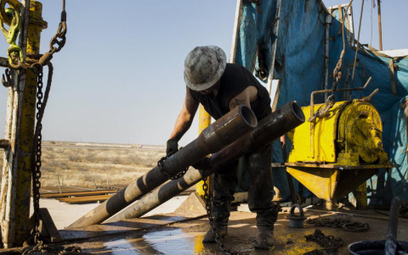 BofA Merrill Lynch: ropa jeszcze nie znalazła dna