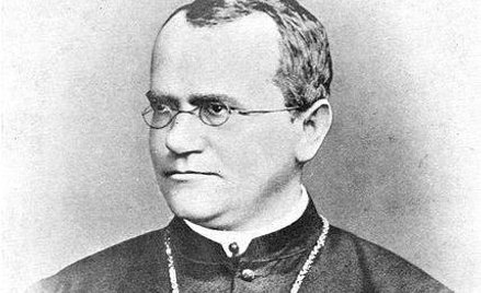 Spór o stare dzieło na temat grochu