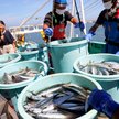 Japonia i Chiny porozumiały się w sprawie elektrowni jądrowej i owoców morza