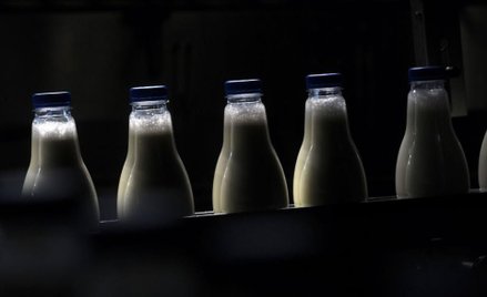 Lactalis gotowy na rozmowy z rolnikami w sprawie cen mleka