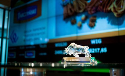 Martwić mogą jedynie stosunkowo niskie obroty, przez co zwyżki stają się mało wiarygodne.