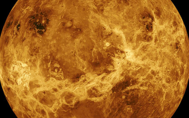 Na Wenus znaleziono znacznik obecności życia