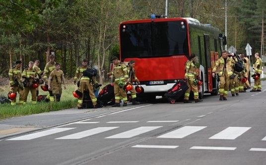 Strażacy biorący udział w akcji gaśniczej na terenie Puszczy Solskiej