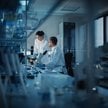Ryvu, Selvita, Synektik. Czyli poszukiwanie biotechnologicznych okazji na GPW