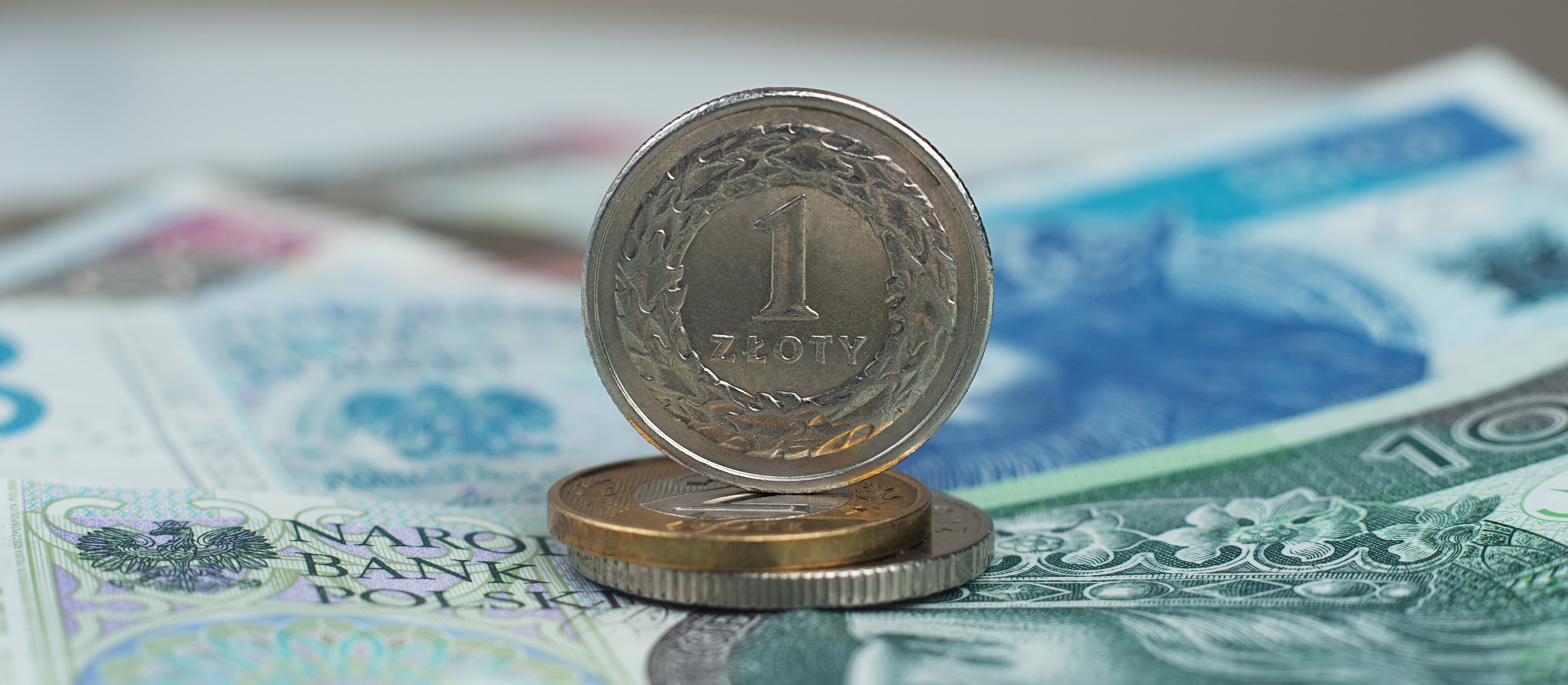 Za złotym przemawiają mocne argumenty makroekonomiczne