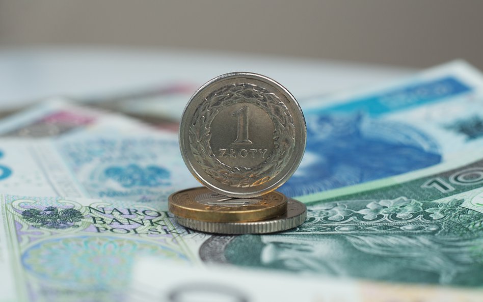 Za złotym przemawiają mocne argumenty makroekonomiczne