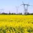 Podatek od energetyki może jeszcze zaskoczyć. Rząd patrzy także na Brukselę