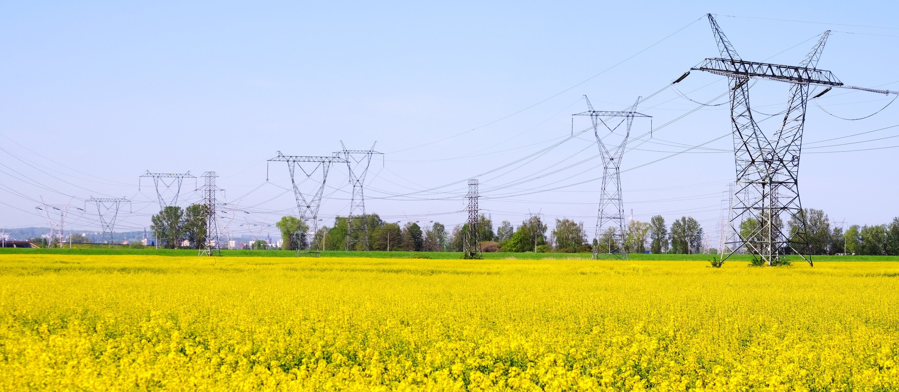 Ceny Prądu Niżej? Rząd szykuje rozwiązania obniżające ceny energii