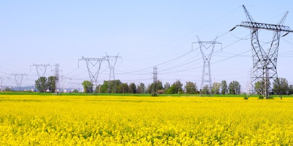 Rząd pracuje nad pakietem obniżającym ceny prądu dla Polaków