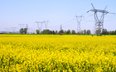 Wyższy CIT dla energetyki sfinansuje pomoc firmom energochłonnym. Co mówi sektor?