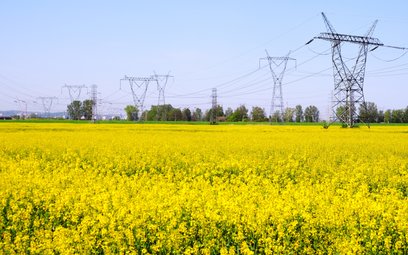 Tani prąd ma być dostępny szerzej. W tle nowe taryfy i opłaty sieciowe