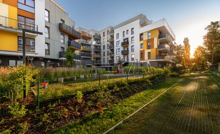 Miasto Moje po raz siódmy