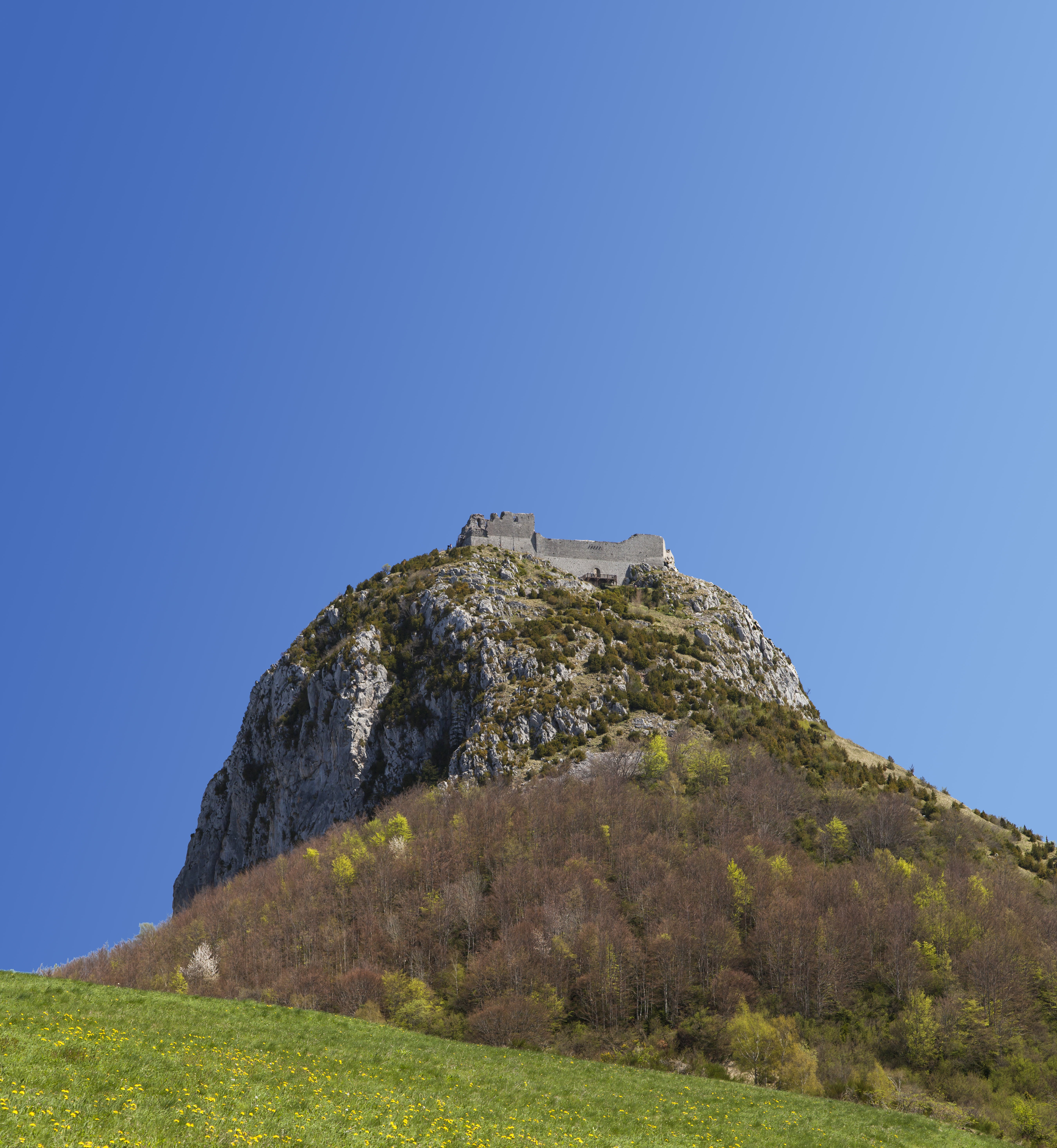 Katarzy kontra papieże. Kościół uznawał ich za heretyków