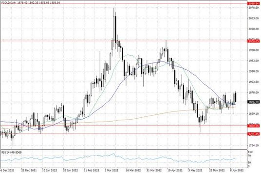 Notowania złota – dane dzienne