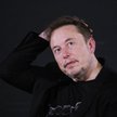Elon Muska zastanawia się nad sensem życia wśród AI i robotów