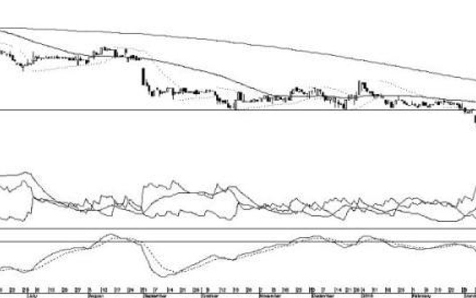 ...i niedźwiedzie, czyli trzy spółki, którym grozi pogłębienie przeceny