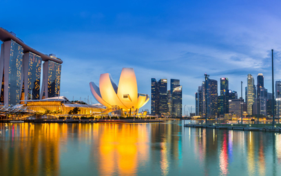Singapur zmienia wizerunek. Zaczyna się zielona rewolucja