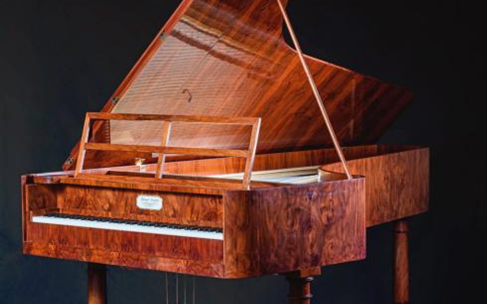Odbudowany instrument