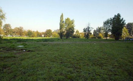 Według ekspertów warto rozważyć zakup działki