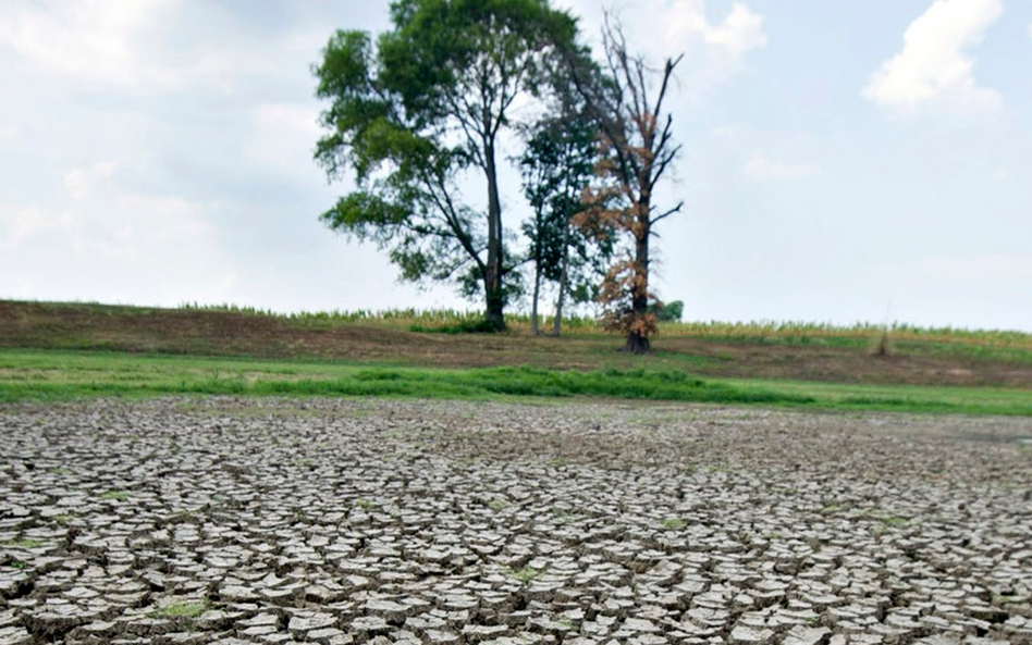 Z powodu globalnych zmian klimatu ekstremalne zjawiska pogodowe będą coraz częstsze.