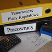 Średnie firmy w lesie z wdrażaniem PPK
