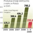 Moc polskich farm wiatrowych wzrosła 166 razy od początku 2000 roku do września tego roku.