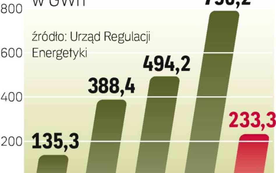 Moc polskich farm wiatrowych wzrosła 166 razy od początku 2000 roku do września tego roku.