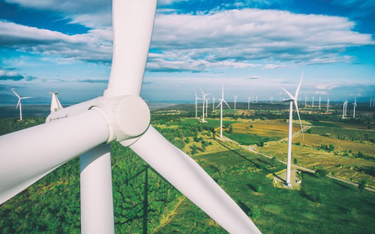 Trzy razy więcej zielonej energii w Estonii w rok