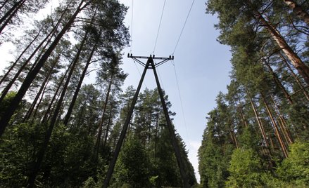 Miliardy na sieci z KPO na uniknięcie blackoutu