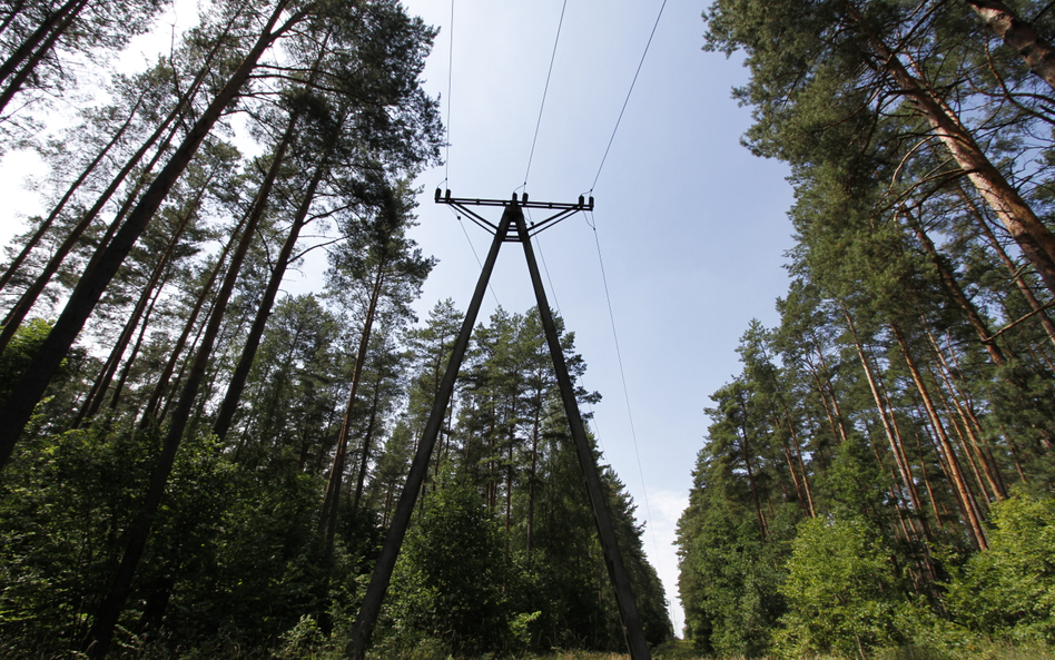 Ministerstwo Klimatu i Środowiska poinformowało o zakończeniu wstępnych konsultacji aktualizacji str