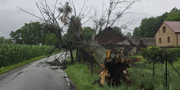 Storms batter Poland: 1,600 firefighter callouts, six injured in Małopolska