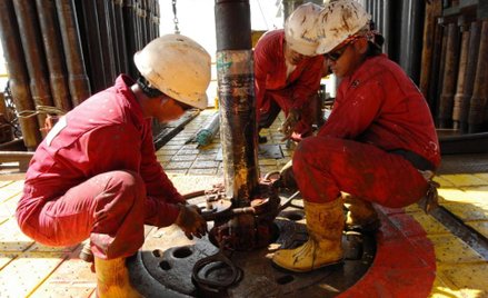 Serinus wierci w Brunei